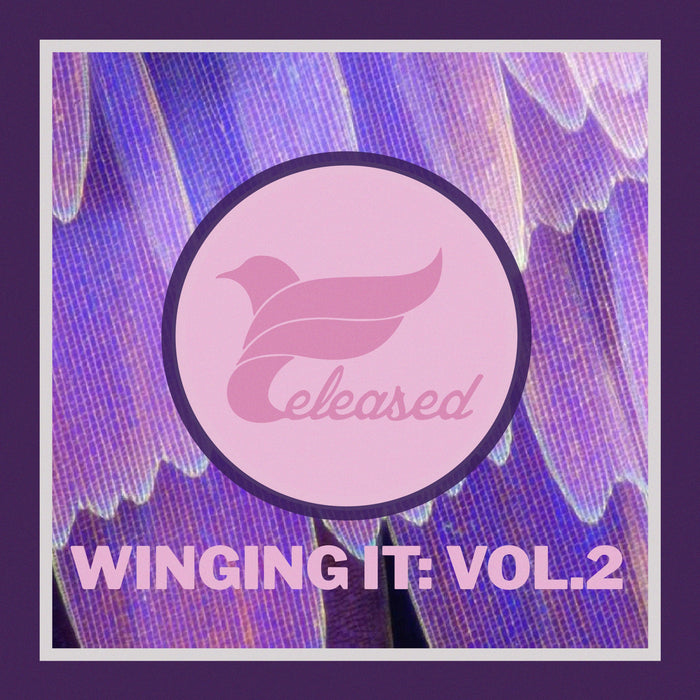 Winging It, Vol 2 - Leeds Electronic Music Compilation - Released Records