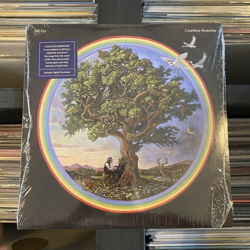 Bill Fay - Countless Branches - Vinyl LP. This is a product listing from Released Records Leeds, specialists in new, rare & preloved vinyl records.