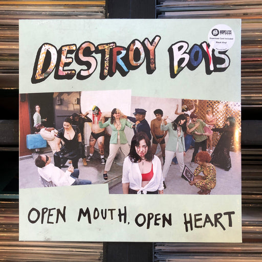 Destroy Boy - Open Mouth, Open Heart - Vinyl LP. This is a product listing from Released Records Leeds, specialists in new, rare & preloved vinyl records.