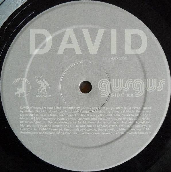 Gusgus : David (12")