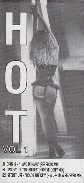 Various : Hot Vol 1 (12", Unofficial, W/Lbl)