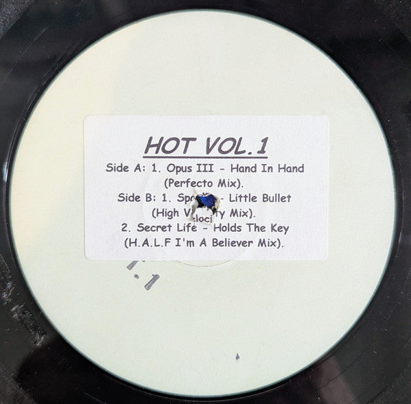 Various : Hot Vol 1 (12", Unofficial, W/Lbl)