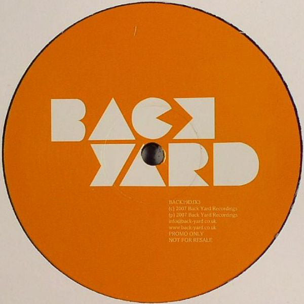Gossip* : Standing In The Way Of Control (Remixes) (12", Promo)