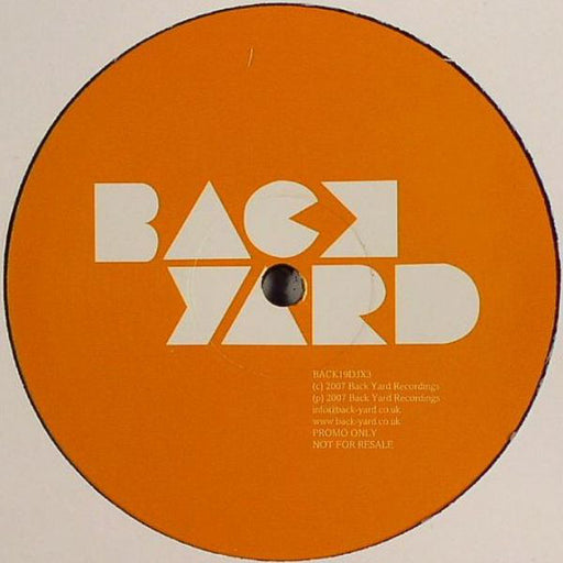 Gossip* : Standing In The Way Of Control (Remixes) (12", Promo)
