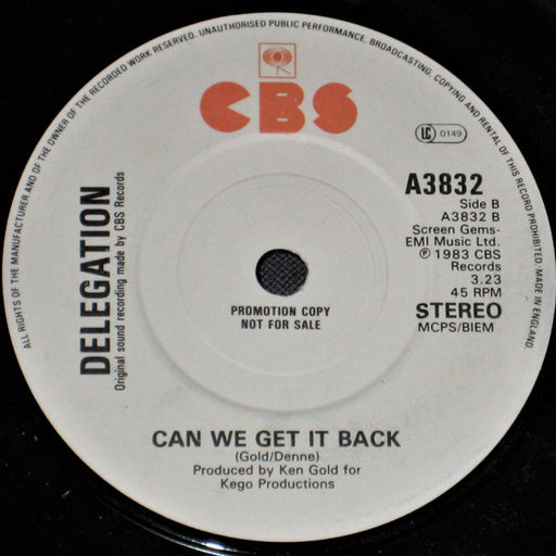 Delegation : It's Your Turn (7", Single, Promo)