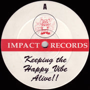 DJ Seduction / Vibes & Wishdokta : So In Love (Vibes & Wishdokta Remix) / Gun 'N' Bass (12")