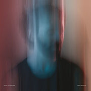 Peter Silberman : Impermanence (LP, Album)