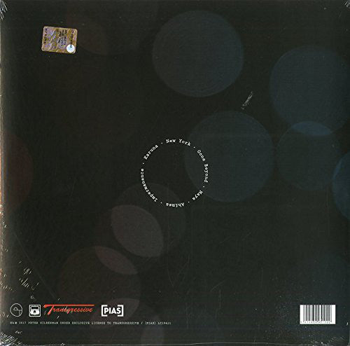 Peter Silberman : Impermanence (LP, Album)