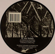 LoSoul : Raw Beauty (12")