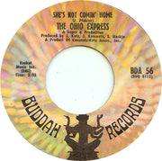 The Ohio Express* : Down At Lulu's / She's Not Comin' Home (7", Single, Styrene, Ter)