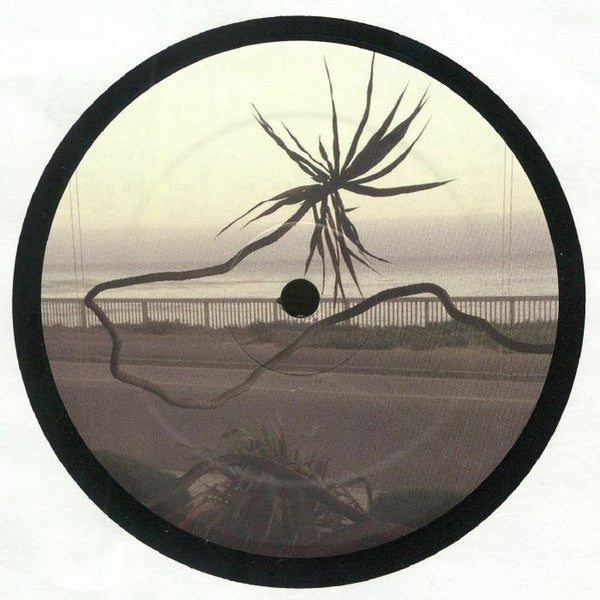 Tape Hiss* : Crystal Voyage EP (12")