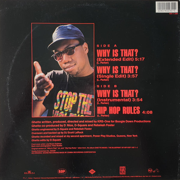Boogie Down Productions : Why Is That? (12", Single, Promo)