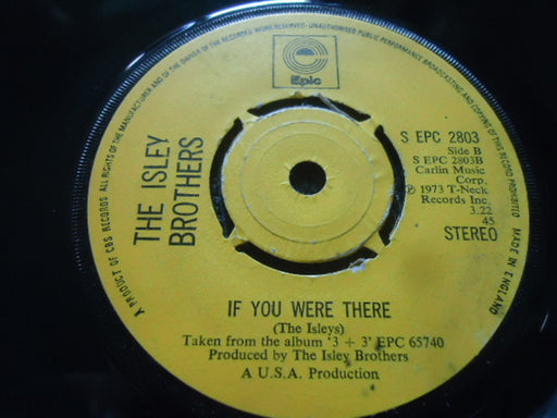 The Isley Brothers : Need A Little Taste Of Love (7", Single, 4 P)