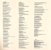 Nicolas Michaux : Amour Colère (LP, Album)