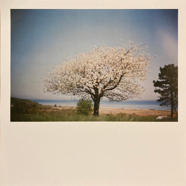 Nicolas Michaux : Amour Colère (LP, Album)