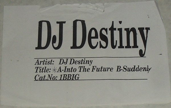 DJ Destiny Feat. Trixxy : Into The Future / Suddenly (12", Promo, W/Lbl)