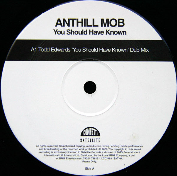 Anthill Mob : You Should Have Known (Todd Edwards Remixes) (12", Promo)