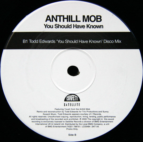 Anthill Mob : You Should Have Known (Todd Edwards Remixes) (12", Promo)