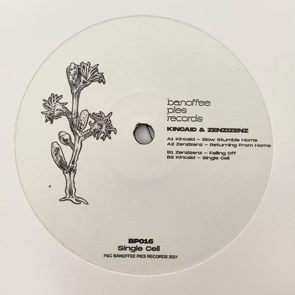 Kincaid (5), Zenzizenz : Single Cell (12", EP)