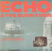 Echo & The Bunnymen : Seven Seas (7", Single)