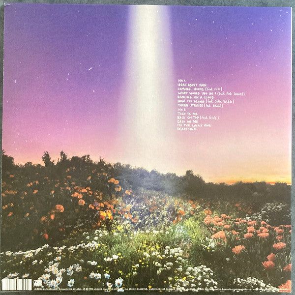Honne : Let's Just Say The World Ended A Week From Now, What Would You Do? (LP, Album, Cle)