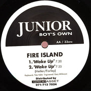 Fire Island : In Your Bones / Wake Up (12")