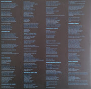 Tempers : New Meaning (LP, Album, Ltd, Opa)