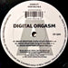 Digital Orgasm : Moog Eruption (12", Single)