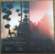 Tstewart* : Elysian (LP, Album)