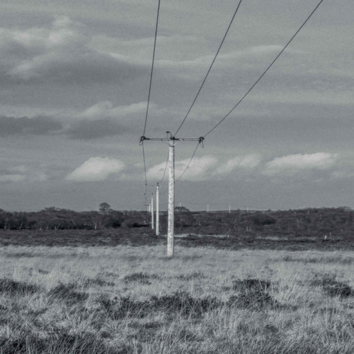 Tys (5) : Flutter (12", Ltd, 180)