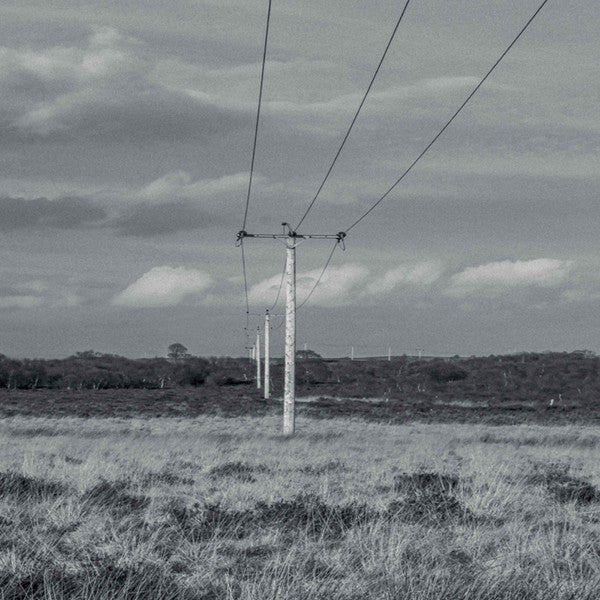 Tys (5) : Flutter (12", Ltd, 180)