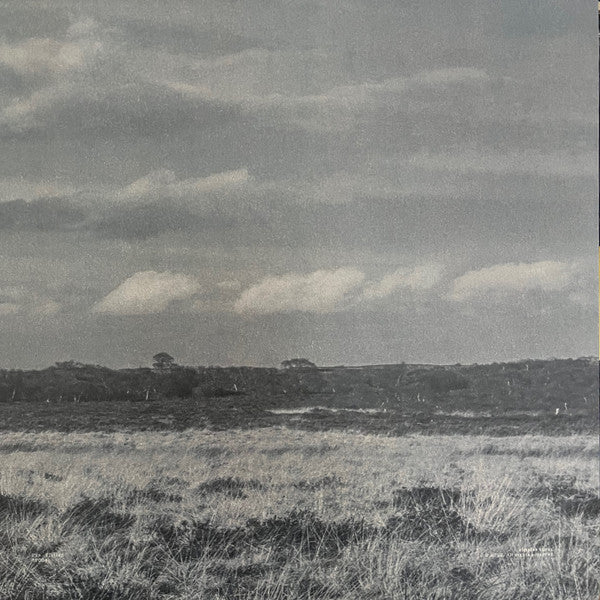 Tys (5) : Flutter (12", Ltd, 180)