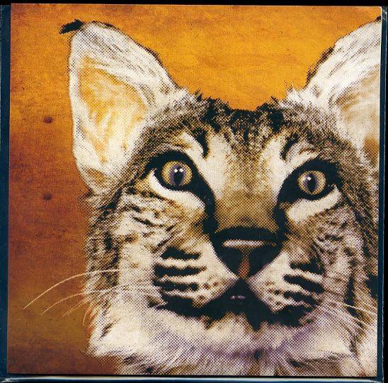 The Greenhornes : Saying Goodbye (7", Single, Pun)