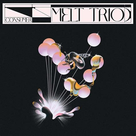 MELT Trio : Consumer (LP, Album)