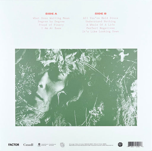 Only A Visitor : Decay (LP, Album, Ltd, Gre)