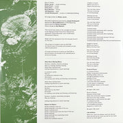 Only A Visitor : Decay (LP, Album, Ltd, Gre)