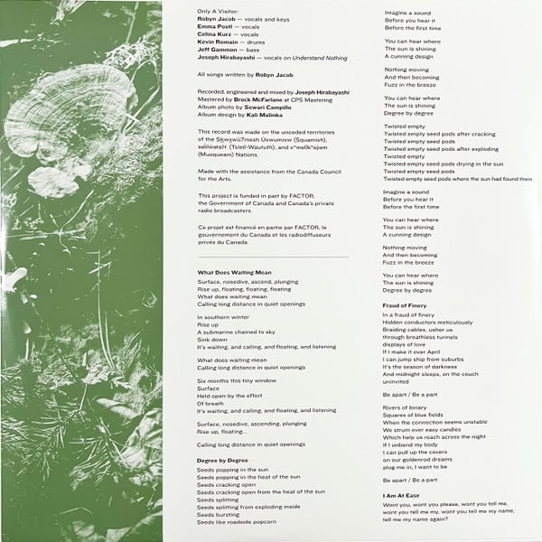 Only A Visitor : Decay (LP, Album, Ltd, Gre)