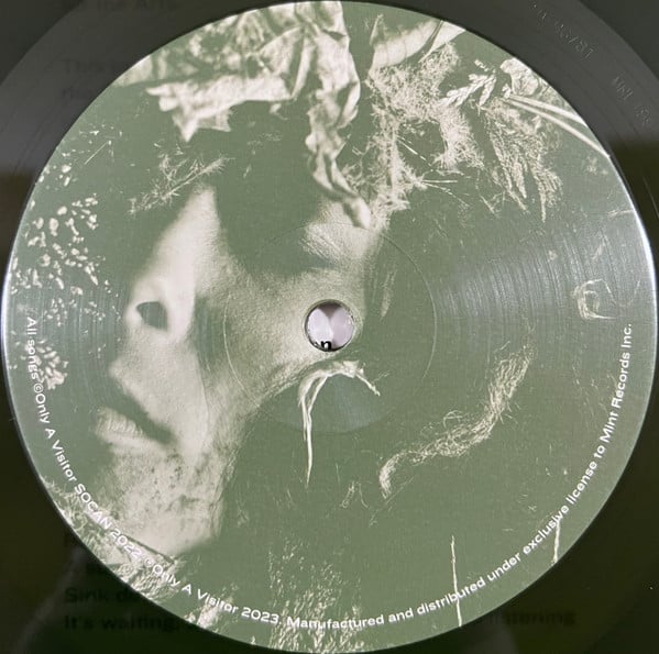 Only A Visitor : Decay (LP, Album, Ltd, Gre)