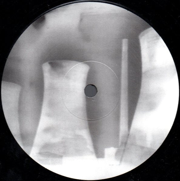 The All Seeing I : Disco Pussy (12", Promo)