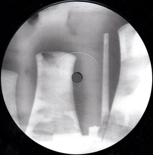 The All Seeing I : Disco Pussy (12", Promo)