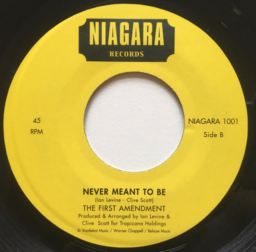 The First Amendment : One Day Nearer / Never Meant To Be (7")