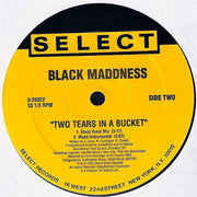 Black Maddness : Igpay Atinlay (12", Maxi)