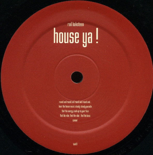 Rod Baksteen : Stolen Soul / House Ya! (12", Ltd)