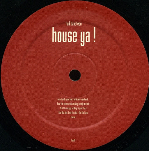 Rod Baksteen : Stolen Soul / House Ya! (12", Ltd)