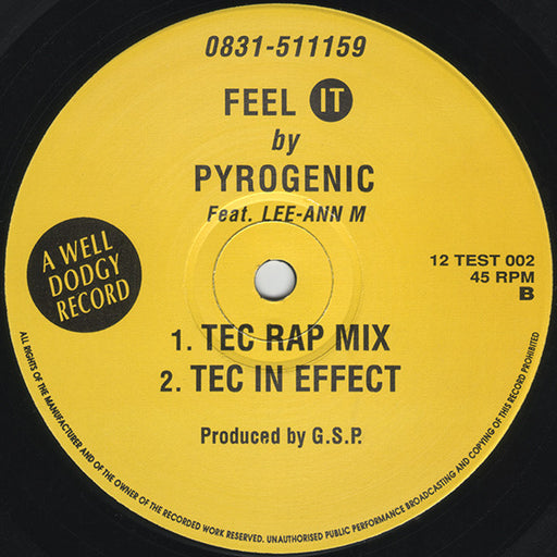 Pyrogenic : Feel It (12")