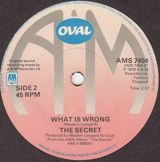 The Secret (3) : Night After Night (7", Promo)