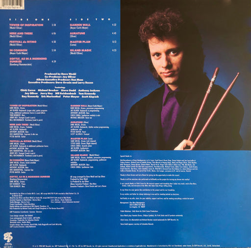 Dave Weckl : Master Plan (LP, Album)