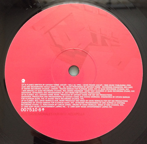 Satoshi Tomiie Feat Kelli Ali : Up In Flames (2x12", Single, Promo)