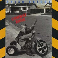 Brian Briggs : Combat Zone (LP, Album)