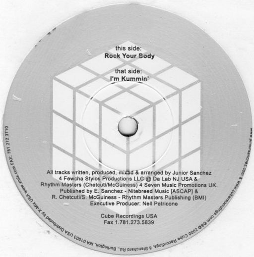 Junior Sanchez & Rhythm Masters Are New Age Funkstas : Rock Your Body (12")